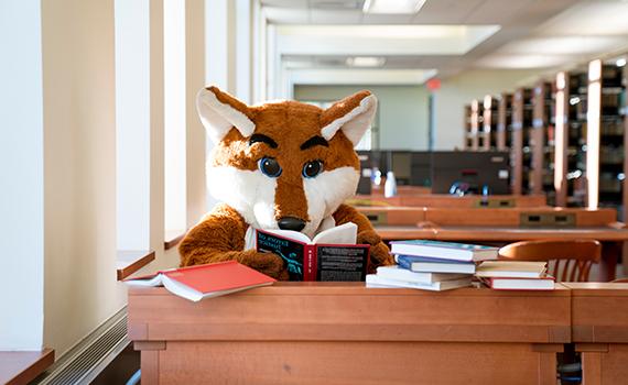 图书馆里狐狸弗兰基的画像 